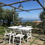 Olive Tree Garden