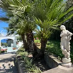 Gasthof Olive Tree Garden Sorrent