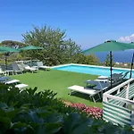 Olive Tree Garden Sorrent