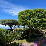 Olive Tree Garden Gasthof Sorrent