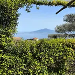 Gasthof Olive Tree Garden Sorrent