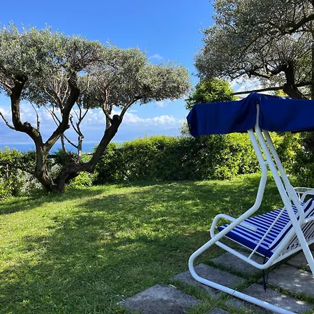 Guest house Olive Tree Garden 2*