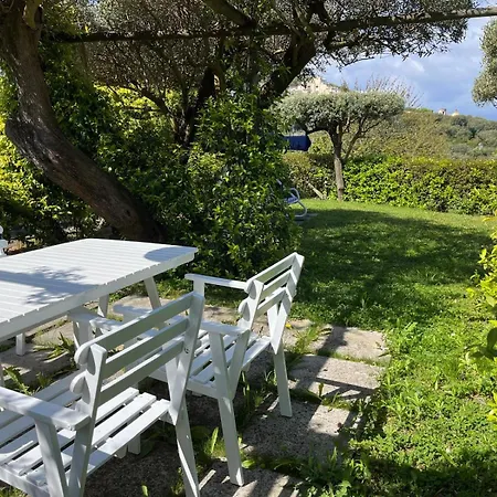 Olive Tree Garden