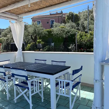 Guest house Olive Tree Garden 2*
