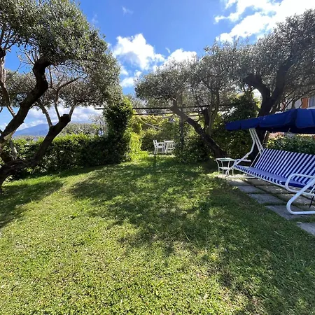 Olive Tree Garden Gasthof Sorrent