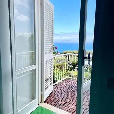 Гостьовий будинок Olive Tree Garden Сорренто