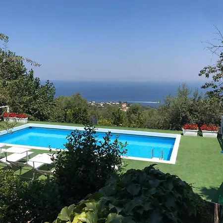 Olive Tree Garden Сорренто