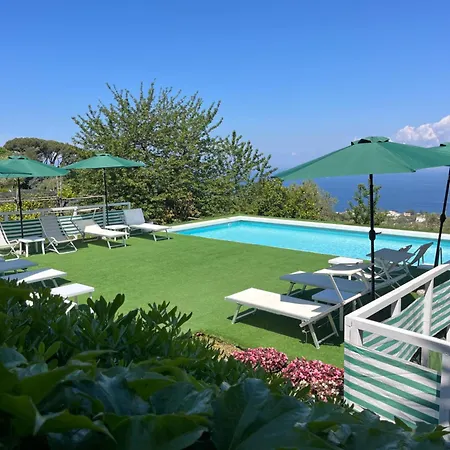 Olive Tree Garden ソレント