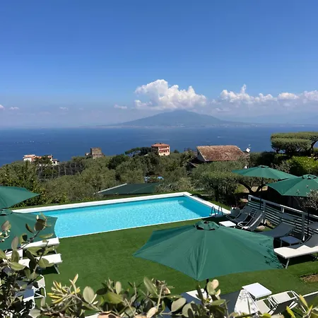 Гостевой дом Olive Tree Garden