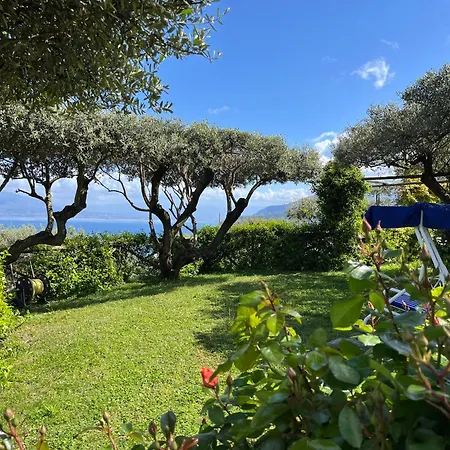 Olive Tree Garden Гостевой дом 3*