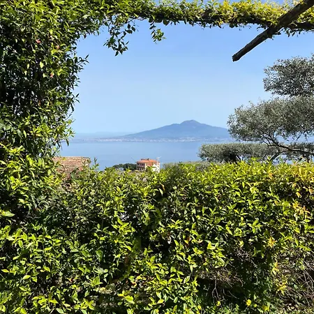 Konukevi Olive Tree Garden Sorrento