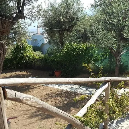 Πανσιόν Olive Tree Garden Σορέντο