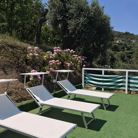 Olive Tree Garden ゲストハウス ソレント