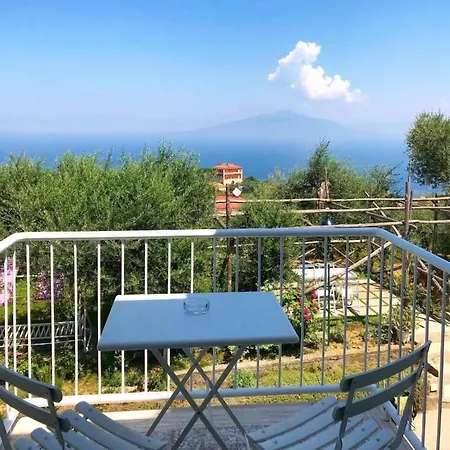 Olive Tree Garden Konukevi Sorrento