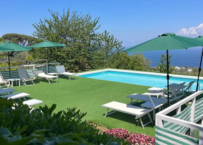 Olive Tree Garden Sorrento