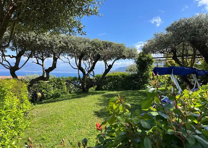 Olive Tree Garden Guest house 3*