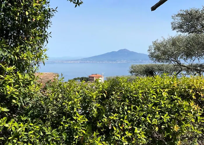 Guest house Olive Tree Garden Sorrento