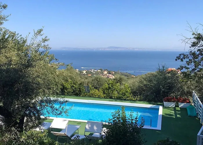 Olive Tree Garden Guest house 3*