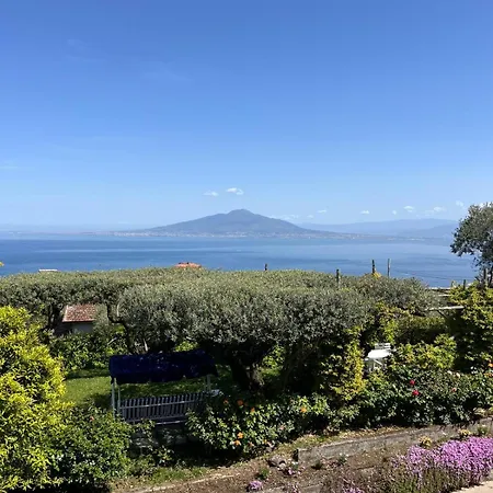 Affittacamere Olive Tree Garden Sorrento