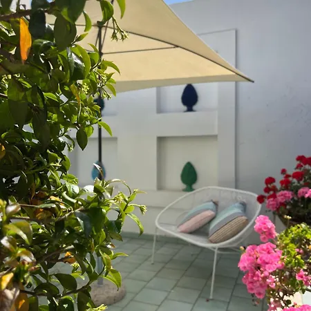 Olive Tree Garden 3*