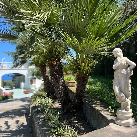 Gæstehus Olive Tree Garden Sorrento