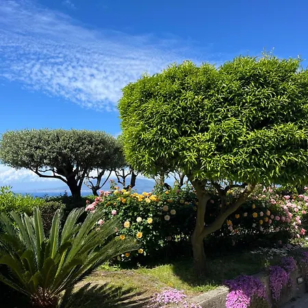 Olive Tree Garden Gæstehus Sorrento