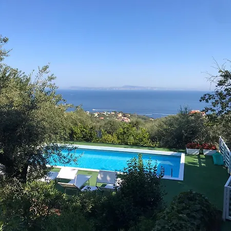 Olive Tree Garden Affittacamere 3*