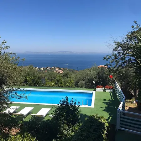 Olive Tree Garden Pensión