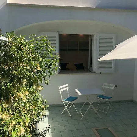 Olive Tree Garden Pensión 3*