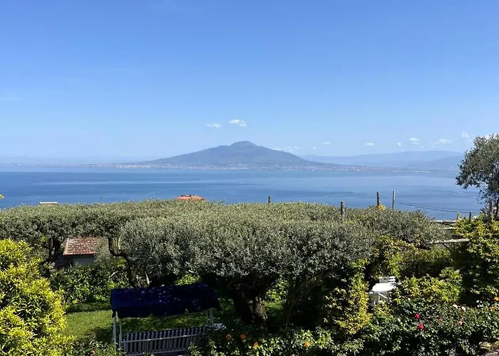 Affittacamere Olive Tree Garden Sorrento