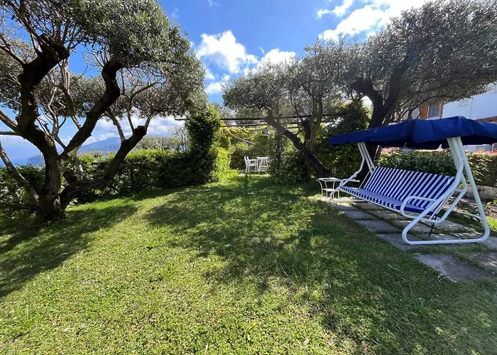 Olive Tree Garden Affittacamere Sorrento