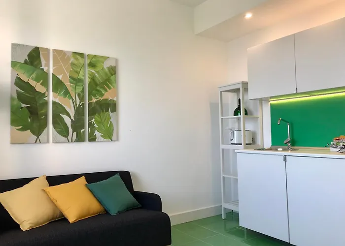 Olive Tree Garden 게스트하우스 소렌토