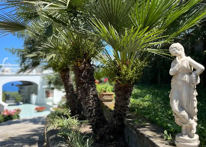 Affittacamere Olive Tree Garden Sorrento