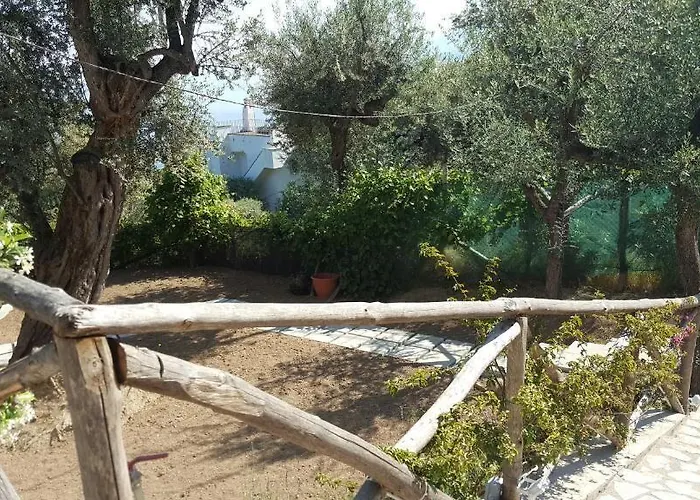 게스트하우스 Olive Tree Garden 소렌토