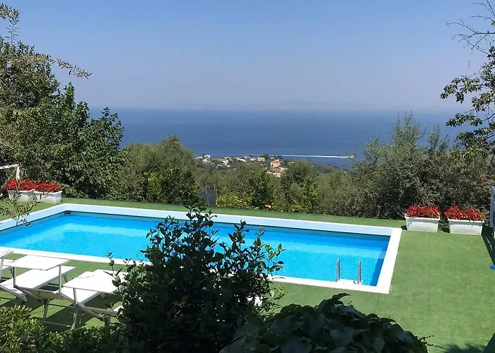 Olive Tree Garden Sorrento