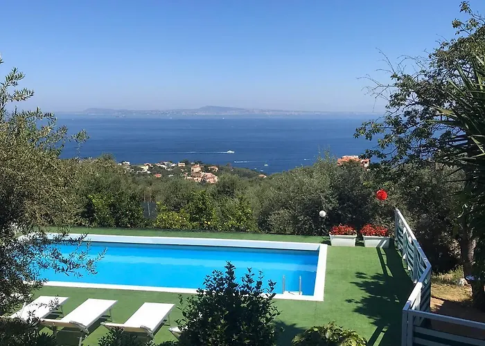 Olive Tree Garden Affittacamere