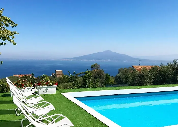 게스트하우스 Olive Tree Garden