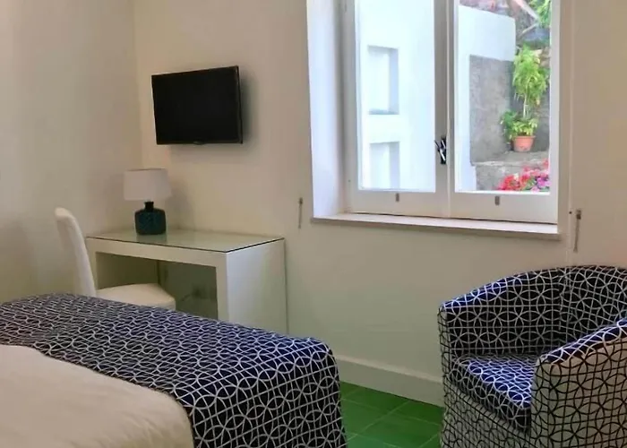 Olive Tree Garden 게스트하우스